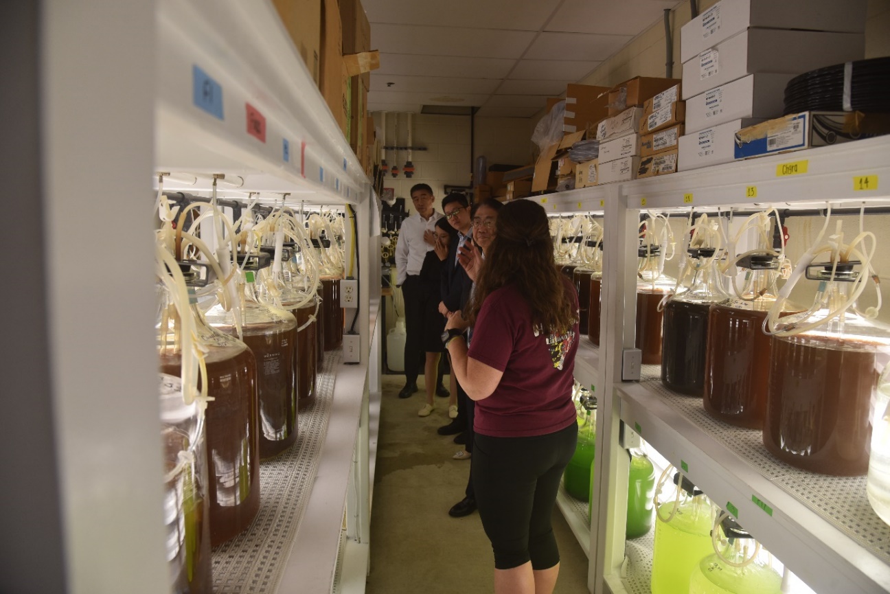 People standing in a room with shelves full of liquid

Description automatically generated