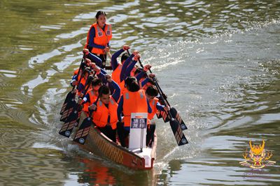 196409262264750250 副本