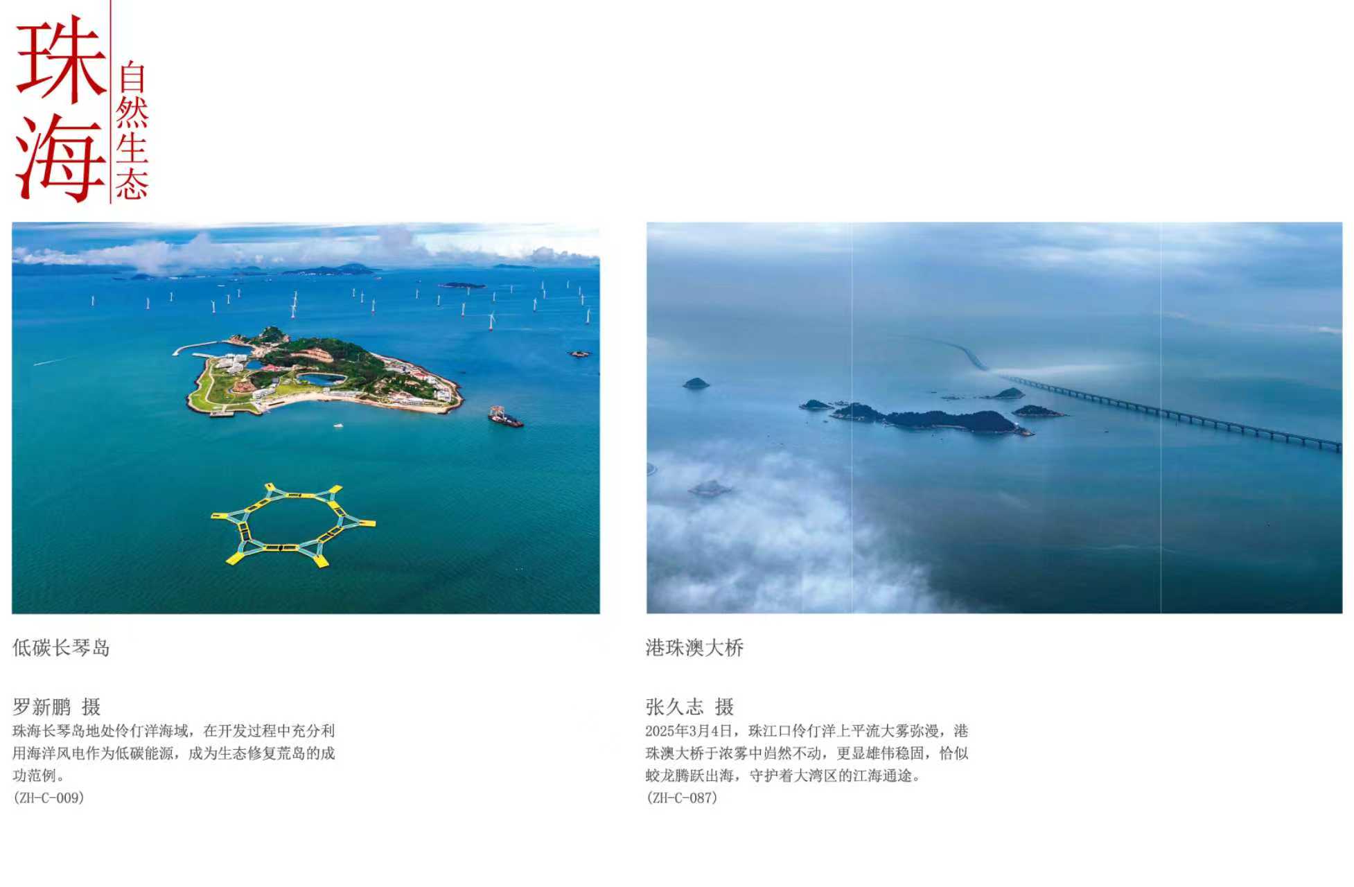 圖片5.jpg 圖片5.jpg