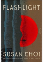 Flashlight : a novel