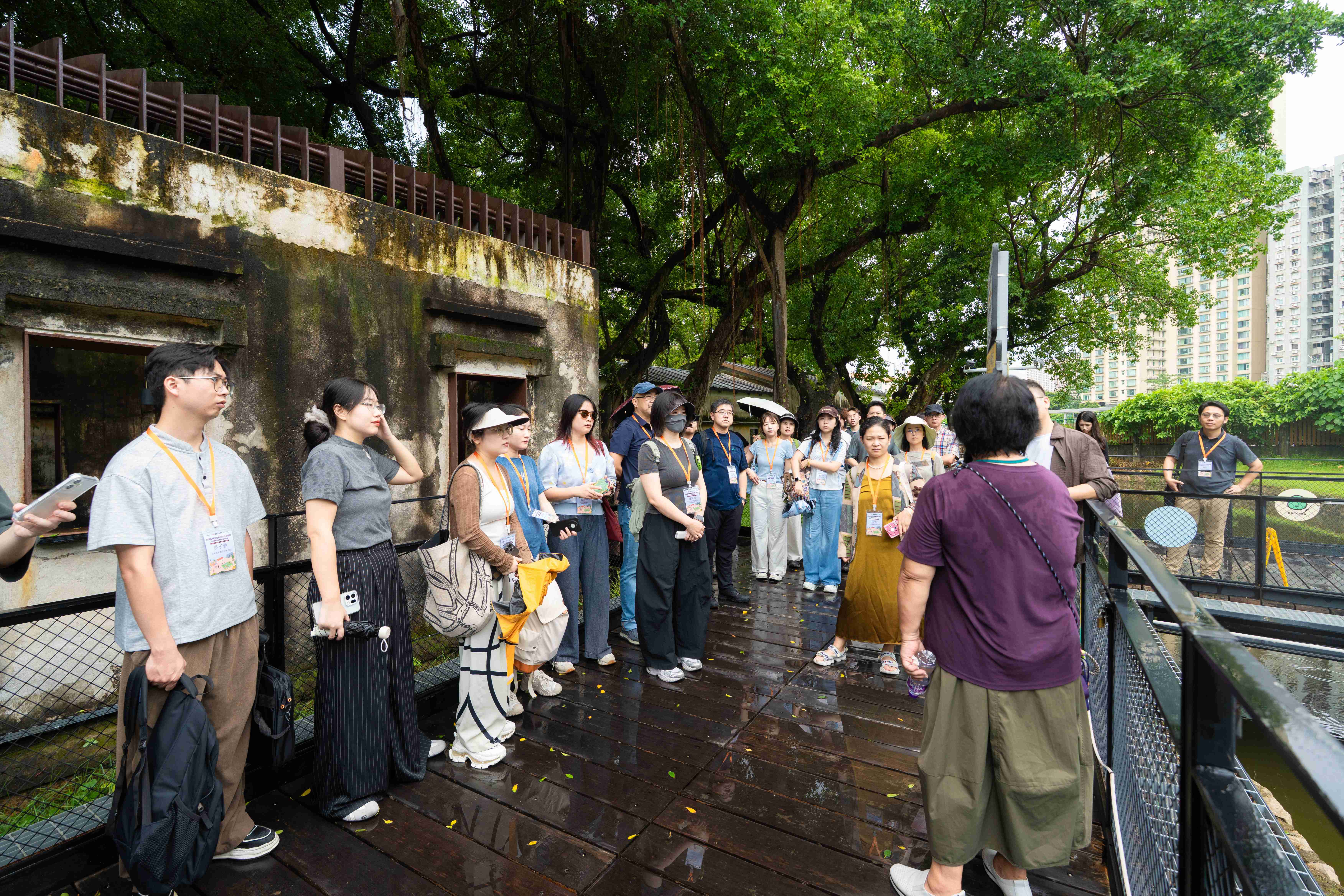 DSC04685.jpg image.jpg